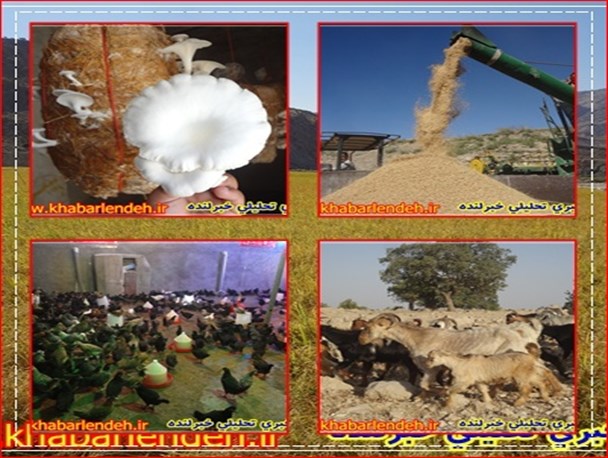 اقتصاد مقاومتی تنها گذرگاه نجات اقتصاد کشور+تصاویر