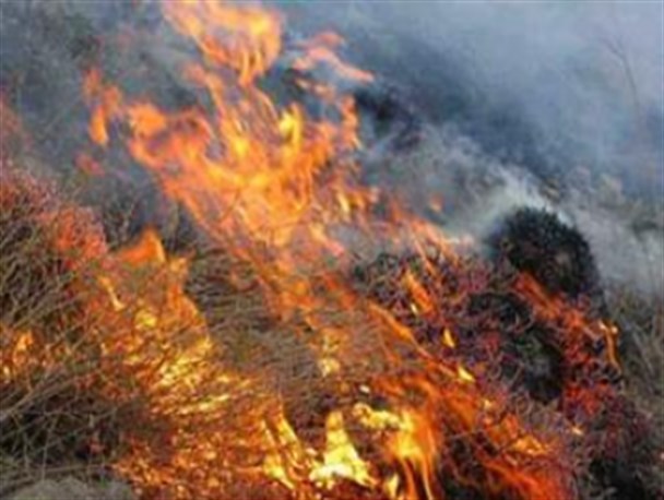 آتش گریبان مراتع سروستان را گرفت+عکس