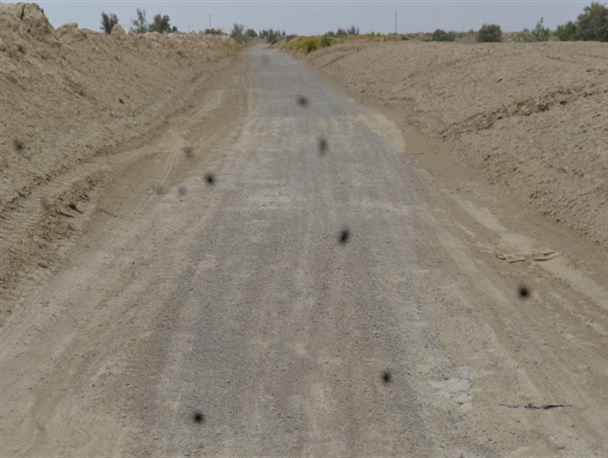 محرومیت اهالی روستاهای بزی و امرودی از وجود جاده استاندارد/ نبود راه مناسب سبب مهاجرت و ترک تحصیل در منطقه شده است/ مسولان پاسخگو نیستند