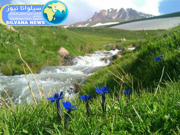 گزارش تصویری/جلوه گری سحرانگیز طبیعت در سیلوانای ارومیه
