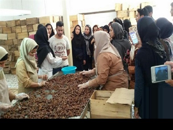 بازدید از مجموعه کشاورزی کارآفرین موفق خرمشهری+تصاویر