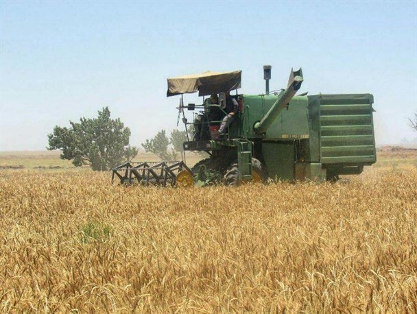تجهیز 6 مرکز خرید گندم و کلزا در آرادان و گرمسار