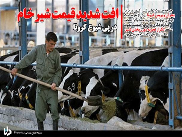 افت شدید قیمت شیرخام در پی شیوع کرونا/ دامداران با سیلی صورت خود را سرخ نگه می‌دارند