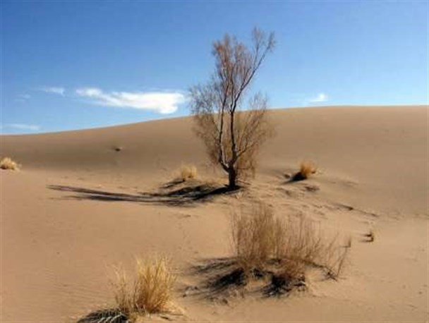 پیشروی بیابان ها زنگ خطری برای خراسان شمالی