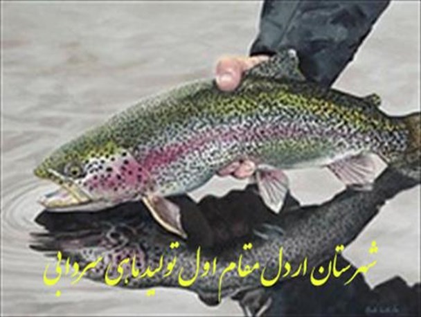 اردل، مقام اول تولید ماهی در استان را دارد