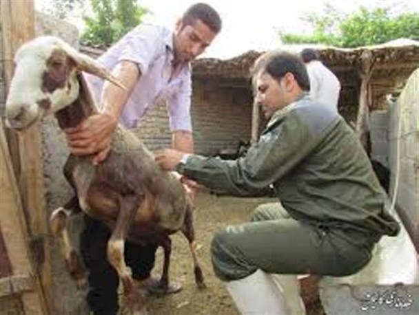 گام های زیرساختی در سلامت روستاها