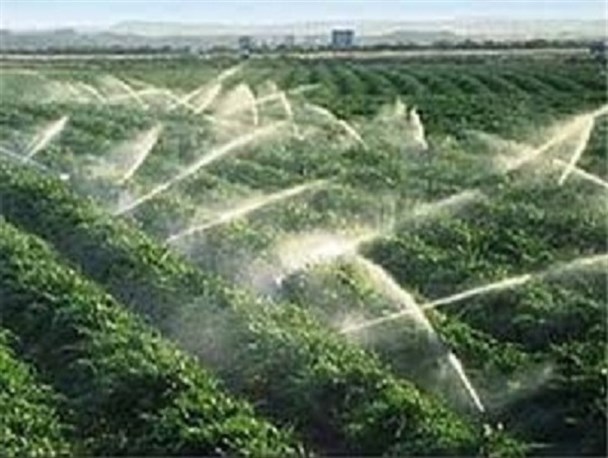 قرار گرفتن870 هکتار از مزارع دیم شهرستان آبدانان زیر پوشش شبکه آبی