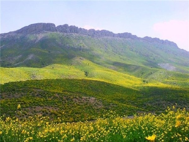 توسعه قارچ‌ گونه پتروشیمی‌های متانولی/ دشت سقاوه برای کشاورزی مناسب‌تر است یا احداث پتروشیمی؟