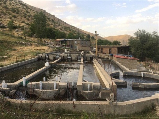 کارآفرینی برای ۱۸ نفر در یک روستای دور‌افتاده‌/ چشم مردم "گندمان" برای توسعه گردشگری و اشتغالزایی به یک "راه" دوخته است
