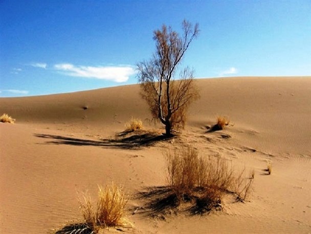 250 میلیارد تومان سهم سیستان و بلوچستان برای بیابان زدایی