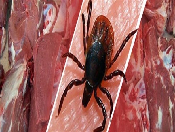 افزایش شمار تب "کریمه کنگو" در هرمزگان به ۶ نفر