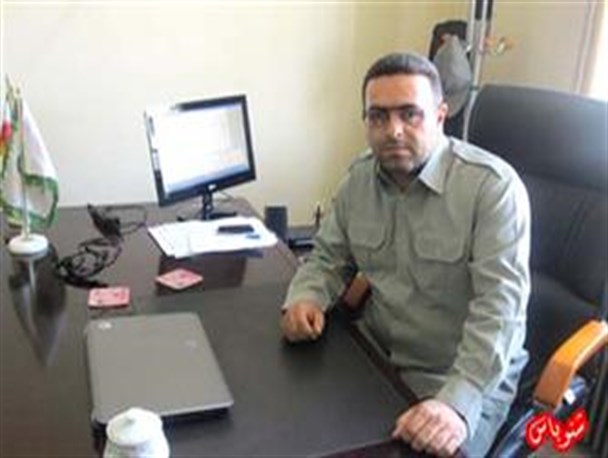 کاهش جمعیت گنجشک ها به یک دهم/ افزایش جمعیت زاغ موجودیت سایر پرندگان را به خطر انداخته است