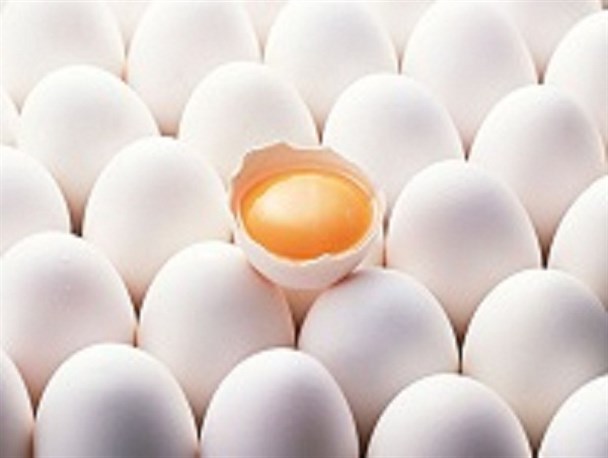 طرح ضربتی دامپزشکی قزوین در برخورد با عرضه تخم‌مرغ توسط دستفروشان