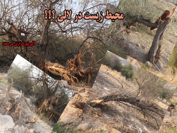 تناقض فقدان اداره محیط زیست باطبیعت بی نظیر لالی/وقتی مهمترین مسائل زیست محیطی لالی دیده نمی شوند
