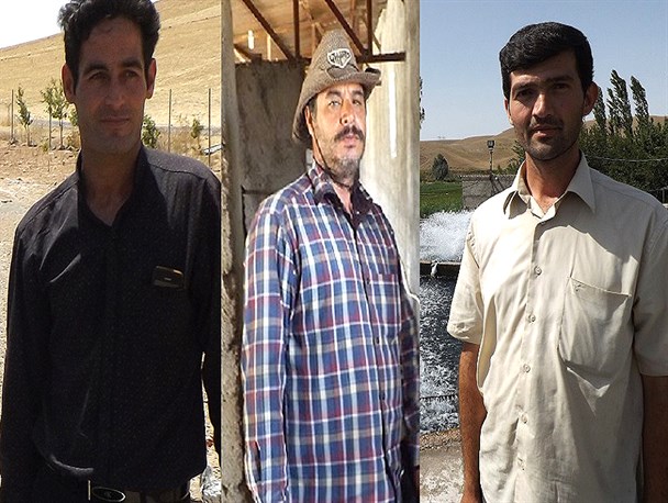 گفتگو با فعالین عرصه تولید در میانه/ از پرورش ماهی و ماکیان گرفته تا صنعت گاوداری در سایه حمایت بسیج سازندگی +تصاویر