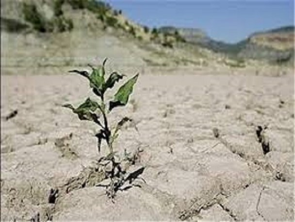 بحران کم آبی در شهرستان اشتهارد، بحرانی ملی است/ دولت مردان درگیر سیاست هستند تا بحران کم آبی در کشور