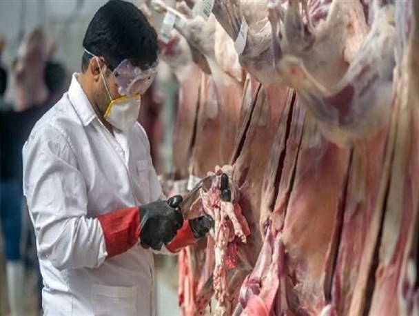 استقرار اکیپ‌های نظارت دامپزشکی در تمام میادین عرضه دام مازندران