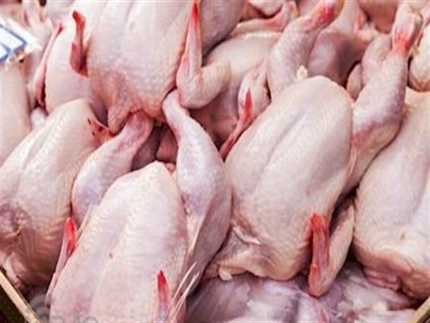 کشف ۸ تن ضایعات کشتارگاهی مرغ فاقد مجوز در یاسوج