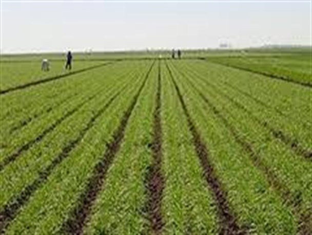 یکپارچه سازی اراضی استان معطل اختصاص اعتباراست
