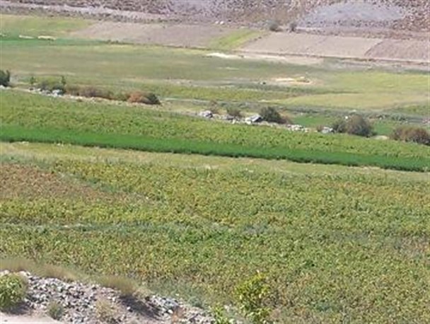 طبیعت زیبای روستای راسک شهر گلزار/تصاویر
