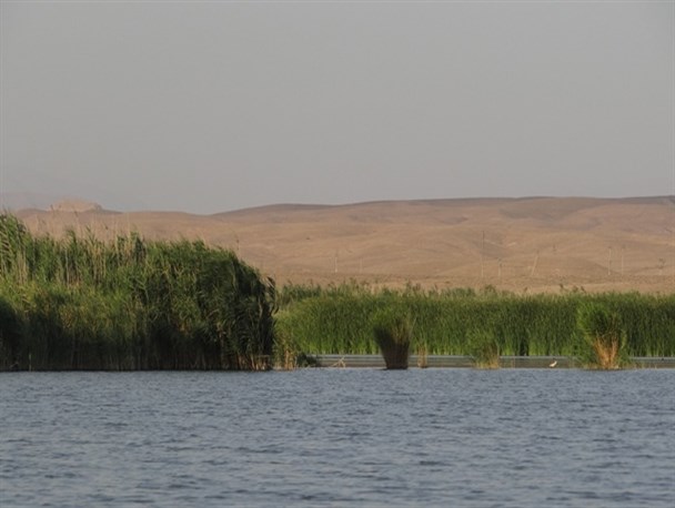 تالاب عرب گولو (جمال گولو) پلدشت نگینی در دل طبیعت / تصاویر