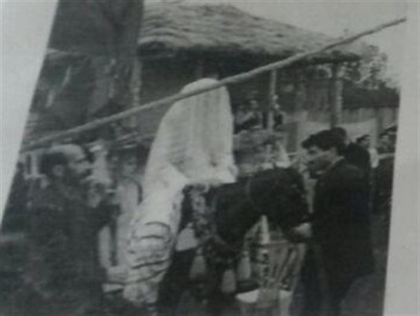جشن عروسی شالی در شاندرمن برگزار می شود