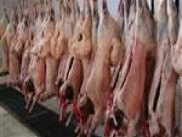 دامپزشکی آماده ارائه خدمات بهداشتی در آستانه عید قربان