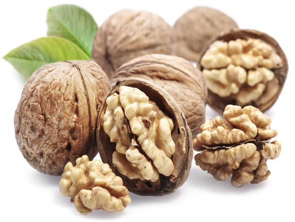 ایجاد صنایع تبدیلی مرتبط با گردو حلّال معضل بیکاری در تویسرکان