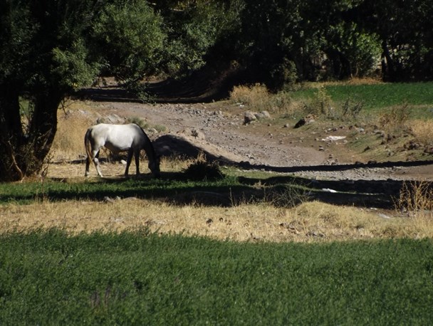 تصاویری زیبا از روستای بیجند سراب