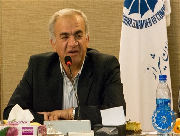 سهم بخش خصوصی از اقتصاد کشور تنها 20 درصد است