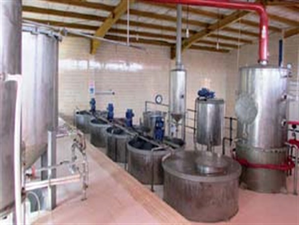 تعطیلی ۵ ساله تنها کارخانه گلوکز کاشمر