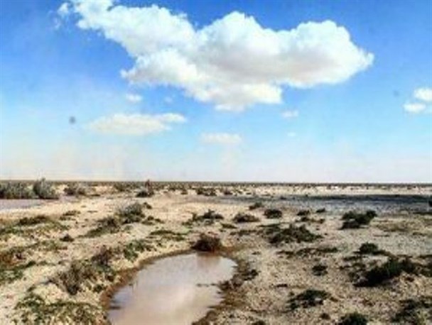 زیباترین تصاویر روز جنوب کرمان