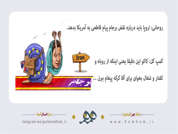 پیغام برون برای آقا گرگه