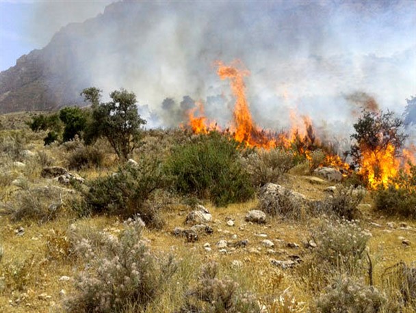 آتش‌سوزی در دو هکتار از مراتع روستای رستم آباد