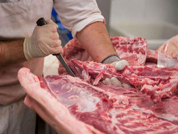 ارجاع ۱۲۲ پرونده تخلف بهداشتی به مراجع قضایی در قزوین