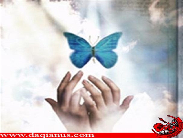 وقتی امام هادی(ع) ناجی یک بهایی می شود