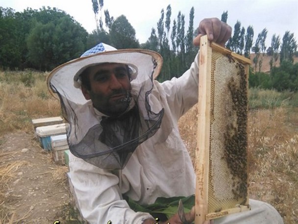 روایتی از موفقیت بسیجی چرامی در حوزه اقتصاد مقاومتی + تصاویر