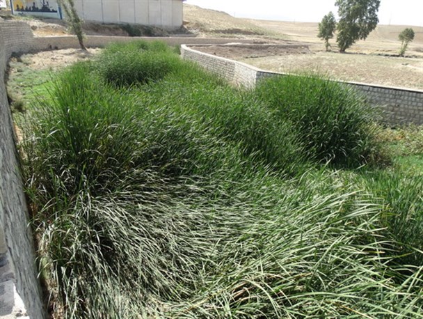 وضعیت نامناسب کانال آب شهر سراب دوره