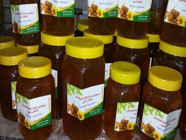 عسل دارویی فردوس ، شهدی شیرین که این روزها چشم انتظار حمایت مسئولان است