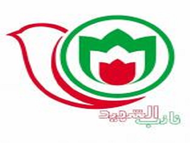 طرح معنوی " اربعین حسینی، نایبی یک شهید " در راهپیمایی اربعین اجرا می شود