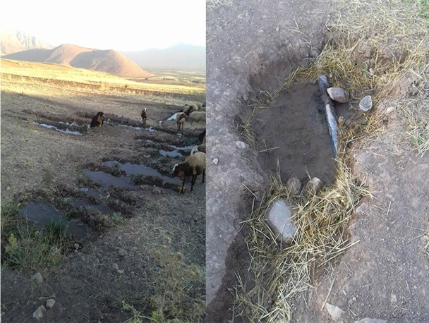 مشکلی چندین ساله در یک روستای هرسین/ محرومیت قیطولی ها از آب آشامیدنی