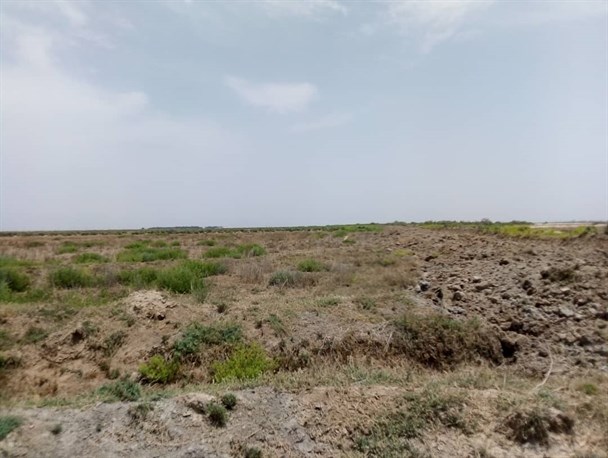 آزادسازی ۱۲۵۵هکتار و یک پرونده ۱۹ هکتاری از اراضی ملی شهرستان شادگان