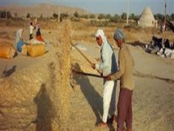 به دنبال پیگیری حق و حقوق کشاورزان استان هستیم