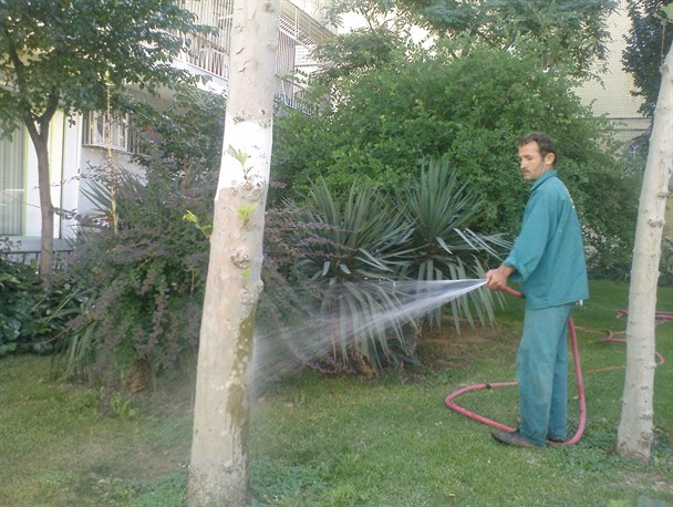 چرا در فضای سبز شهری اردکان این قدر آب اسراف میشود؟