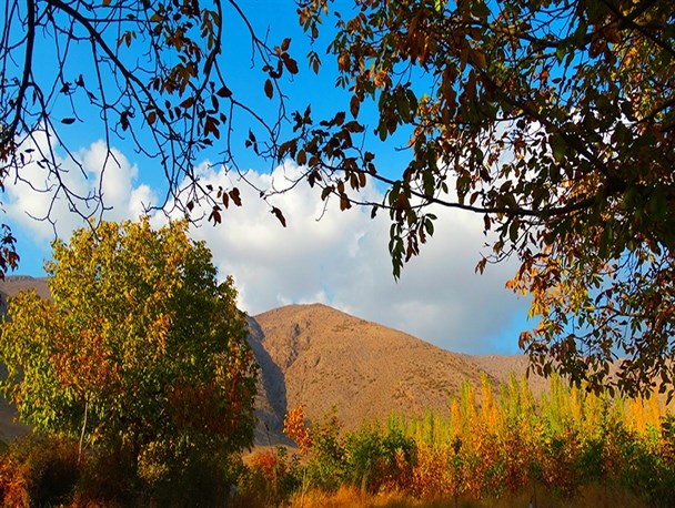 جلوه‌هایی دیدنی از پاییز طلائی الشتر