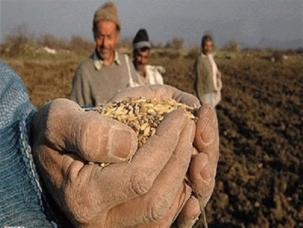 خرید تضمینی گندم؛ وعده سر خرمن/بخش کشاورزی دستخوش حرکت‌های نمایشی است