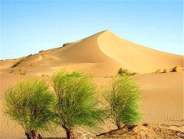 اجرای عملیات اجرایی پروژه ترسیب کربن در نهبندان