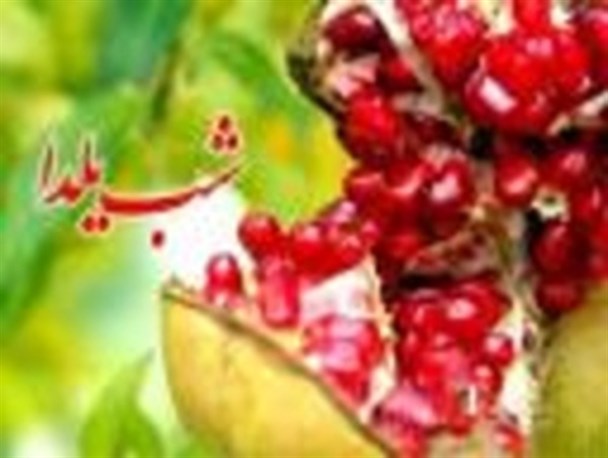 سنت های مردم سیستان در شب چله بزرگ/ شب یلدا فرصتی برای احیای صله رحم