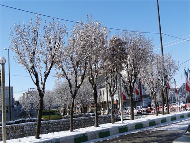 لباس سفید برف بر تن درختان پاییزیی الیگودرز