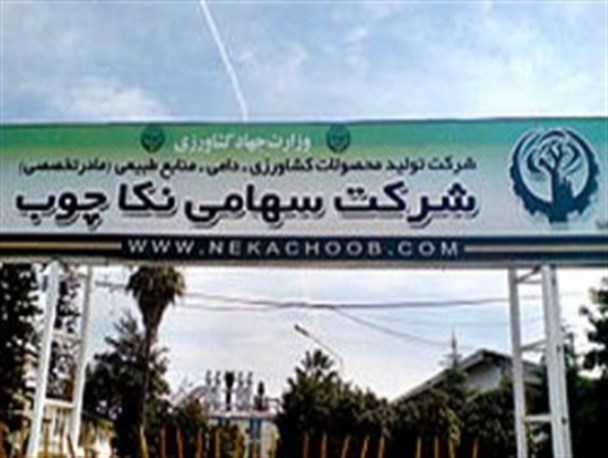 1097 کیلومتر جاده ایجاد کردیم/ 313 نفر کار حفاظت از جنگل را برعهده دارند/ 25 هزار هکتار جنگل‌کاری کردیم
